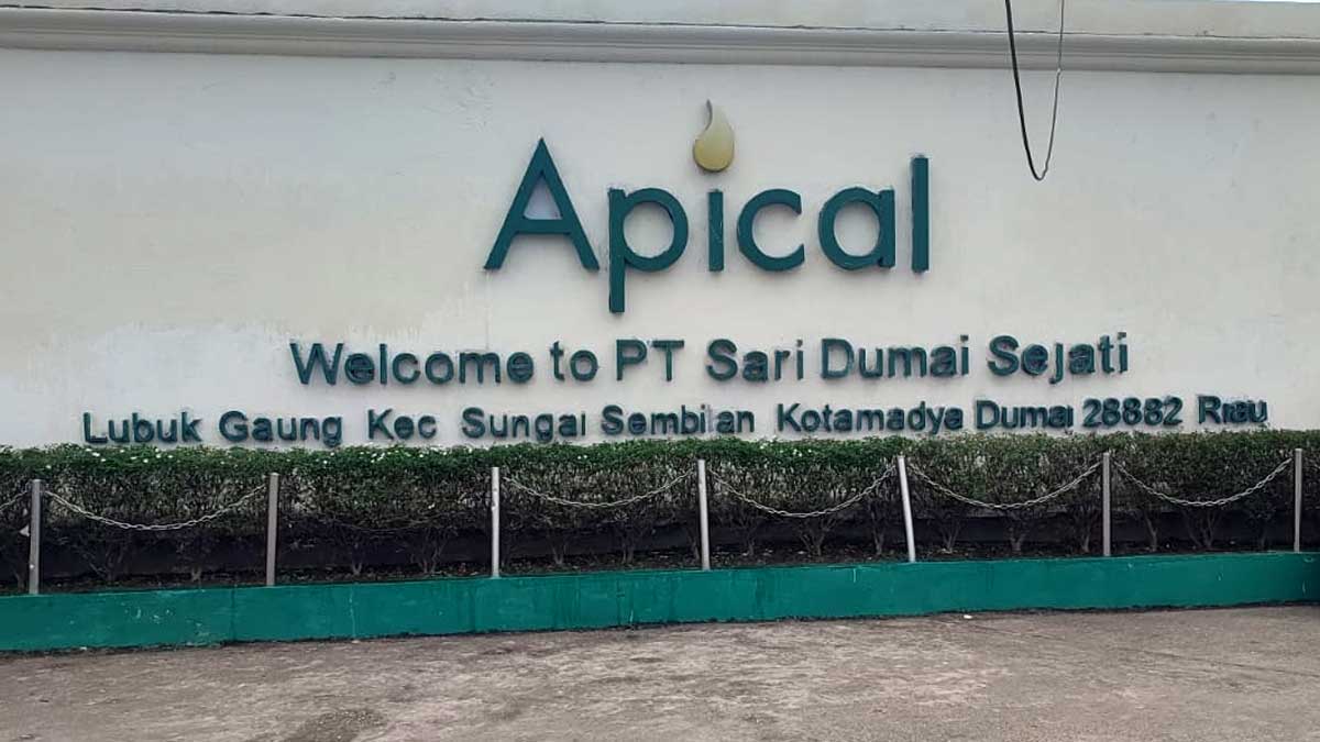 Apical Group Buka Lowongan Ip Minimal Ini Link Pendaftaran