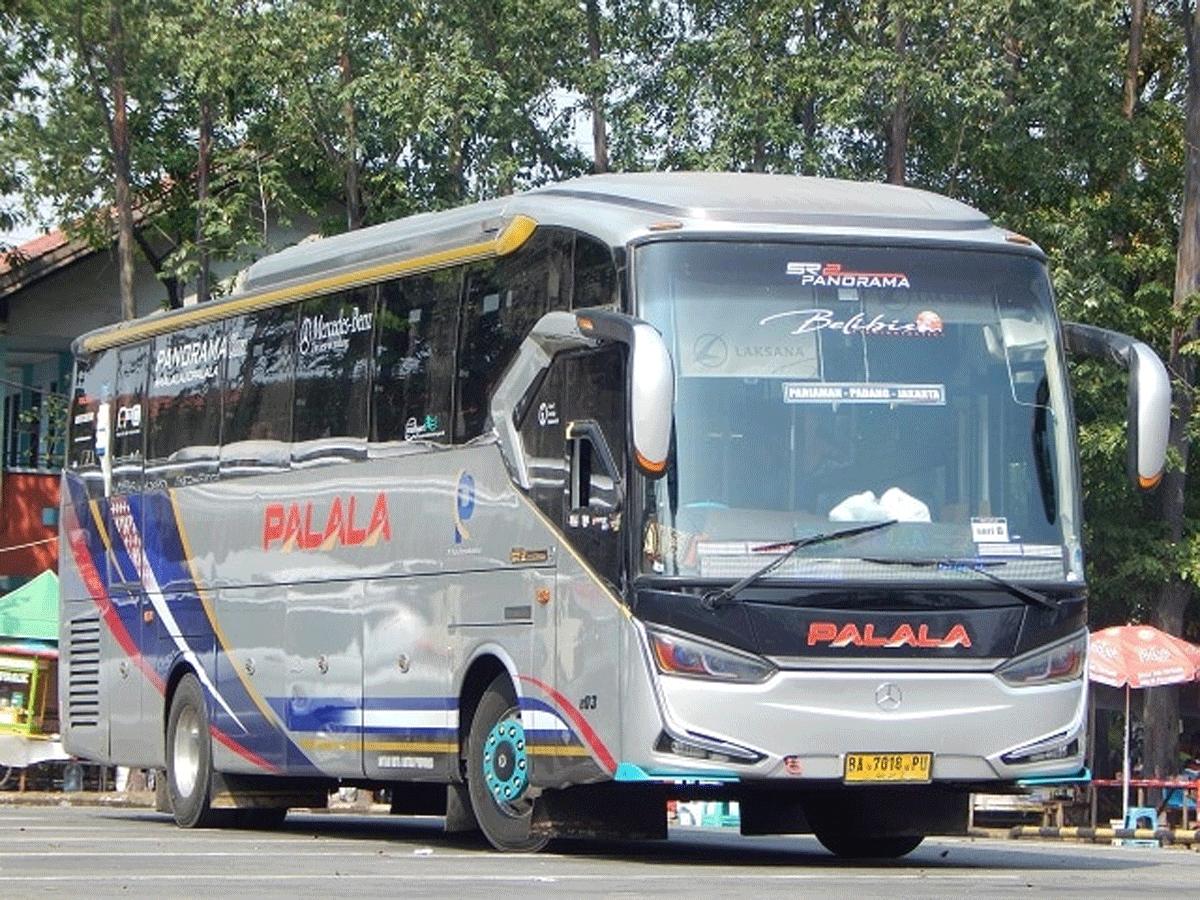 Egi Syafride, Anak Muda Solok yang Sukses Besarkan Bus Palala, Kini ...